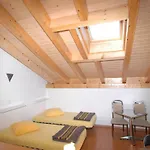 La Cigale *